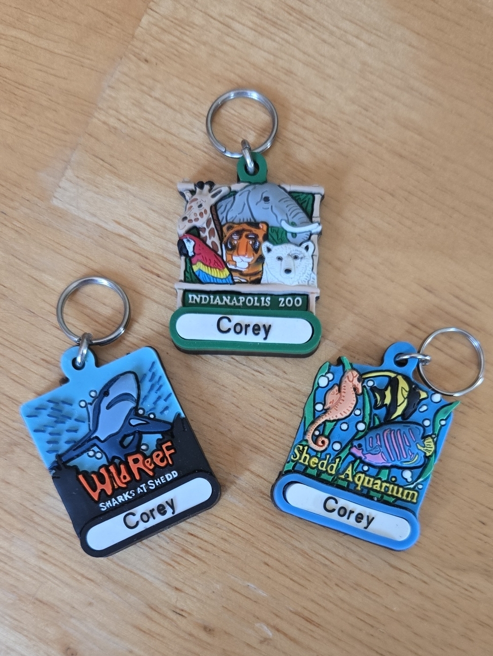 Set Of 3 Souvenier Name Keychains